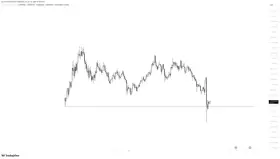 TraderPA