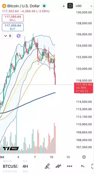 Cheds Trading
