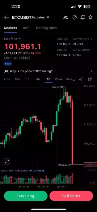 Mr. Crypto Whale🐋