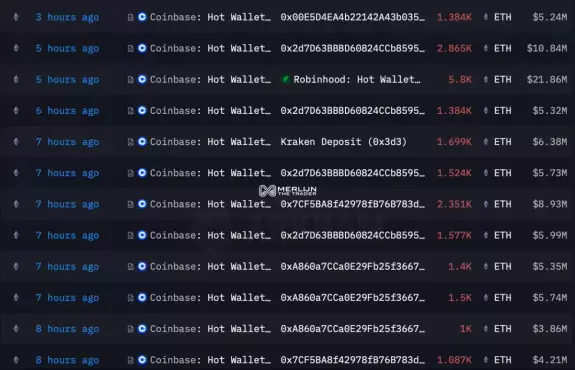 Merlijn The Trader