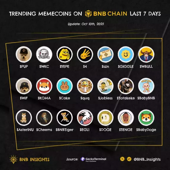 BNB Insights