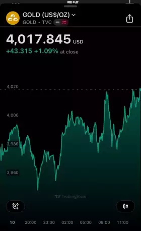 Bill The Investor