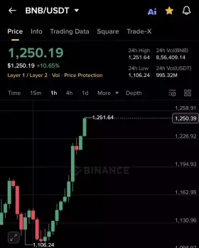 cryptothedoggy