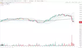 Cheds Trading