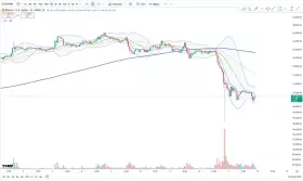 Cheds Trading