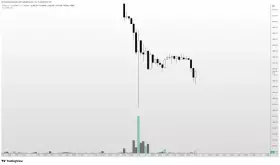 Altcoin Sherpa