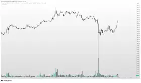 Altcoin Sherpa