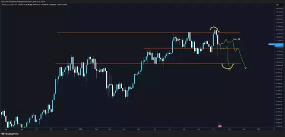 Trader Koala