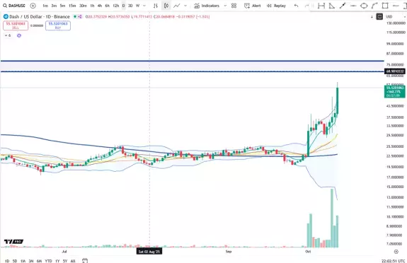Cheds Trading