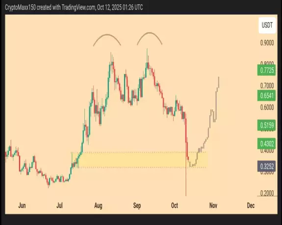 Crypto Maxx