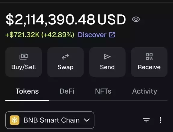 BNBULL🐂