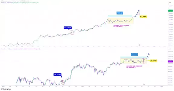 CRYPTOWZRD