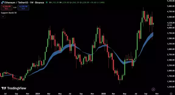 Max Crypto 