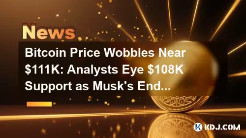 Bitcoin Price Wobbles Near $111K: Analysts Eye $108K Support as Musk's Endorsement Clashes with IMF Warnings Bitcoin Price Wobbles Near $111K: Analysts Eye $108K Support as Musk's Endorsement Clashes with IMF Warnings