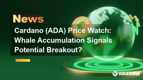 Cardano (ADA) Price Watch: Whale Accumulation Signals Potential Breakout? Cardano (ADA) Price Watch: Whale Accumulation Signals Potential Breakout?