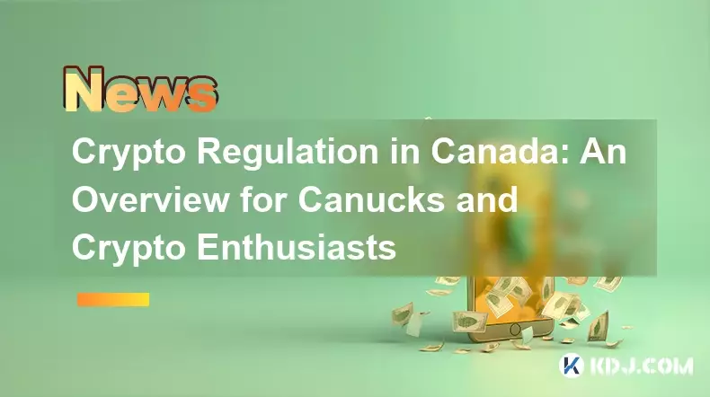 加拿大的加密货币监管：加人队和加密货币爱好者的概述