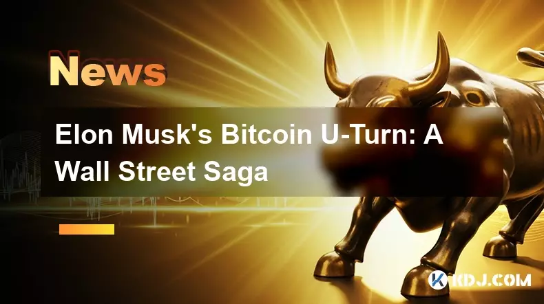 埃隆·馬斯克的比特幣大轉變:華爾街傳奇 埃隆·馬斯克的比特幣大轉變:華爾街傳奇
