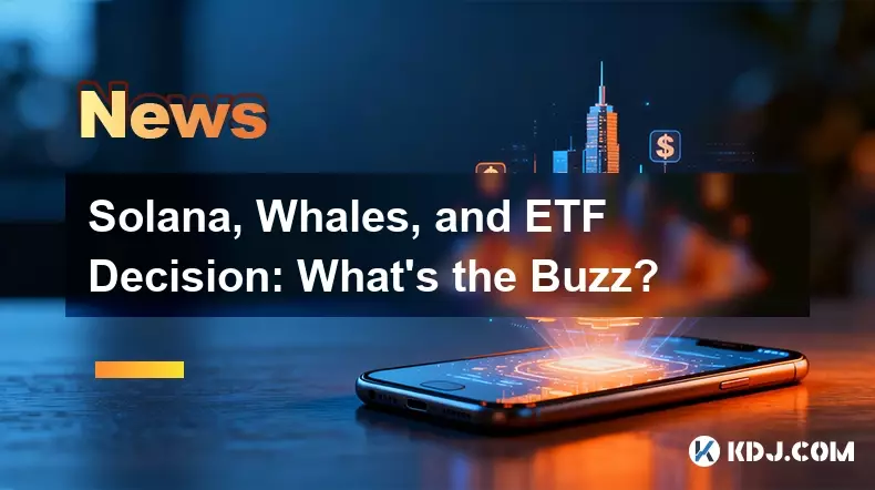 ソラナ、クジラ、ETF の決定: 話題は何ですか? ソラナ、クジラ、ETF の決定: 話題は何ですか?