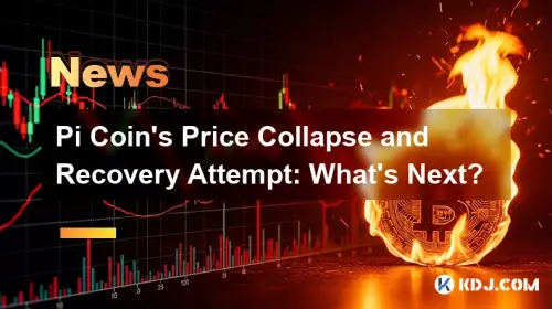 Pi Coin's Price Collapse and Recovery Attempt: What's Next?