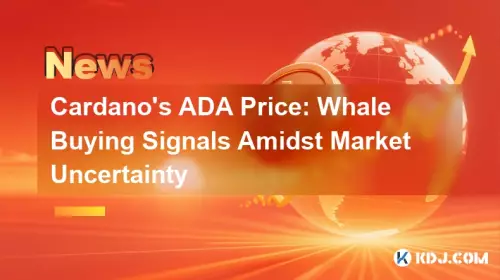 Cardano's ADA Price: Whale Buying Signals Amidst Market Uncertainty