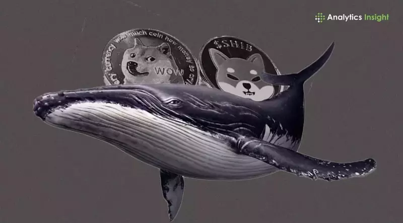 鲸鱼、Meme 币和 2025:炒作是什么? 鲸鱼、Meme 币和 2025:炒作是什么?