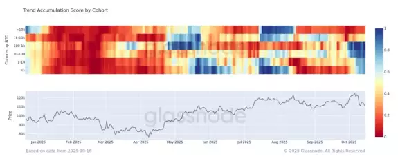 glassnode