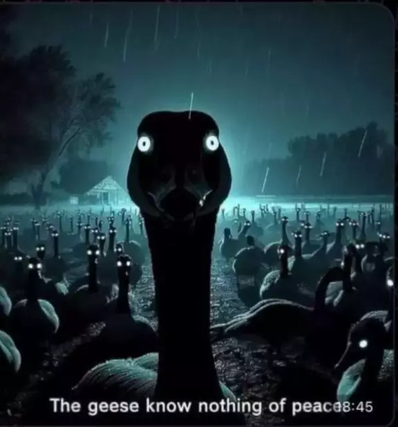 El Chapo Goozeman