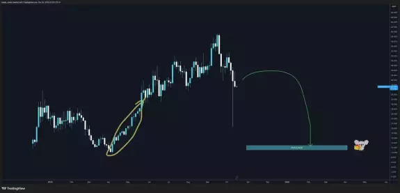 Trader Koala