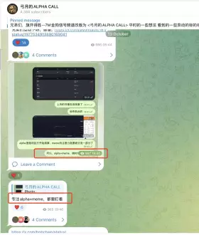 弓月