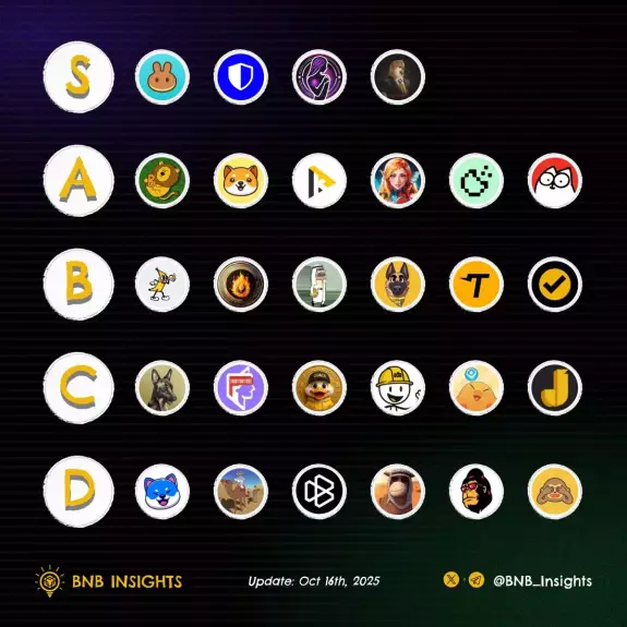 BNB Insights