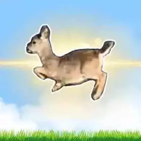 Turbo X