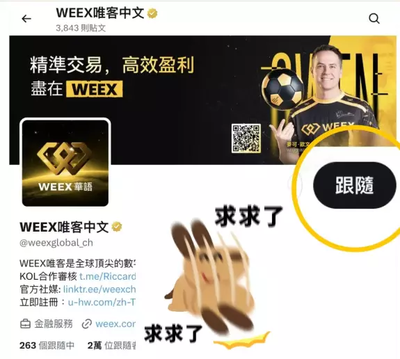 WEEX唯客中文