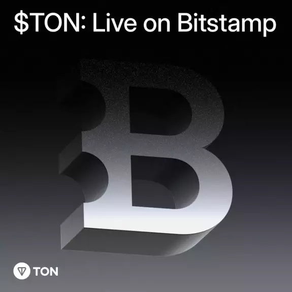 TON💎