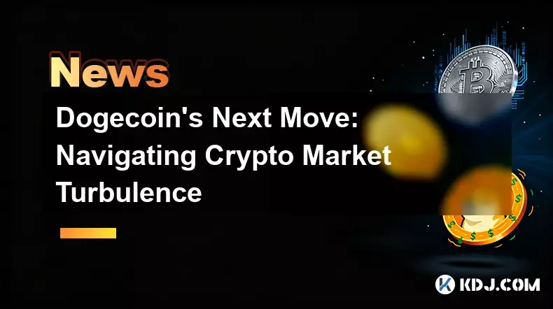 狗狗幣的下一步行動：應對加密貨幣市場的動盪