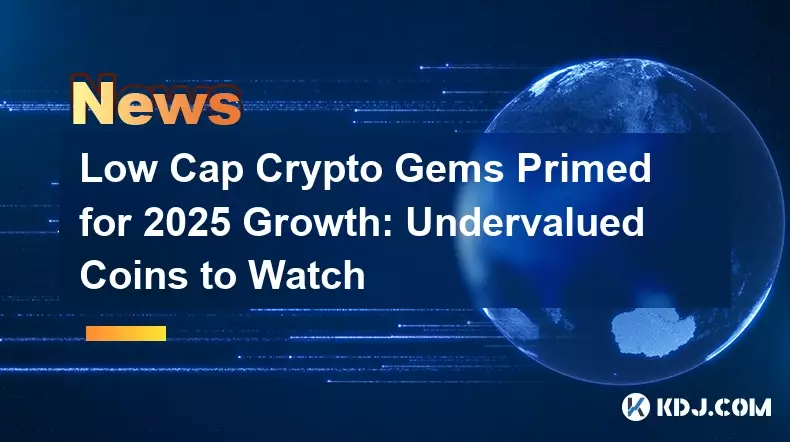 2025年の成長に向けたローキャップ暗号宝石:過小評価されている注目のコイン 2025年の成長に向けたローキャップ暗号宝石:過小評価されている注目のコイン