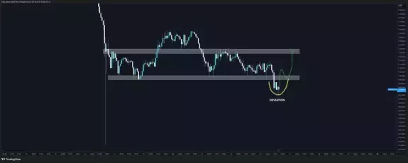 Trader Koala