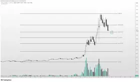 Altcoin Sherpa