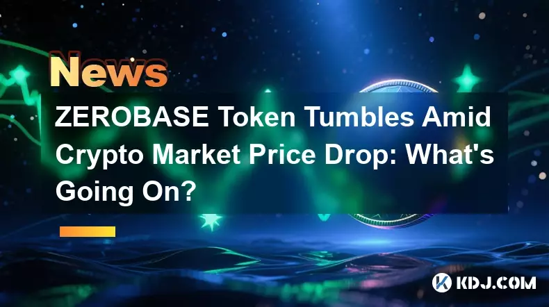 ZEROBASE-Token fällt inmitten des Preisverfalls auf dem Kryptomarkt: Was ist los? ZEROBASE-Token fällt inmitten des Preisverfalls auf dem Kryptomarkt: Was ist los?
