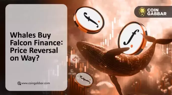 Falcon Finance의 난폭한 모험: 가격 하락, 고래 움직임, 충돌 스위치