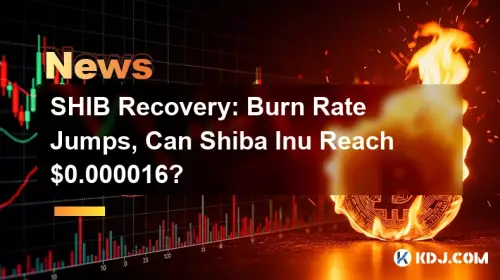 SHIB 회복: 연소율 점프, Shiba Inu가 $0.000016에 도달할 수 있습니까?