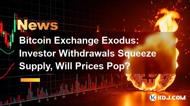 비트코인 거래소 대탈출: 투자자 철수로 공급이 줄어들고 가격이 급등할까요?