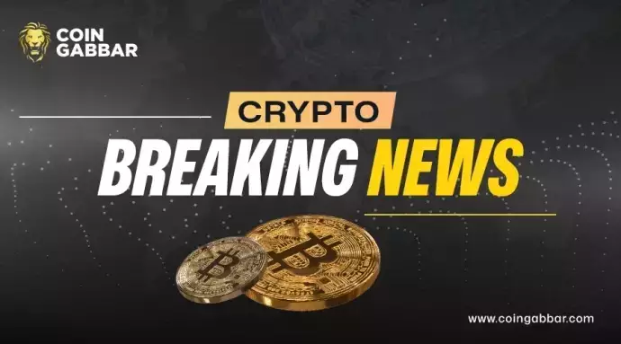 Bitcoin, Liquidation, BTC Pump: Navigating the Crypto Tides Bitcoin, Liquidation, BTC Pump: Navigating the Crypto Tides