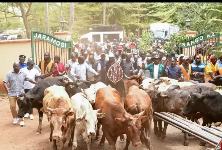 Natembeya, die Familie Odinga und Railas bleibendes Erbe: Eine Geste der Einheit Natembeya, die Familie Odinga und Railas bleibendes Erbe: Eine Geste der Einheit