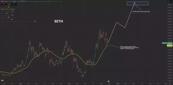 Mike Investing