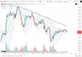 Cheds Trading