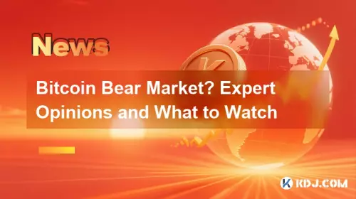 Bitcoin Bear Market? Expert Opinions and What to Watch