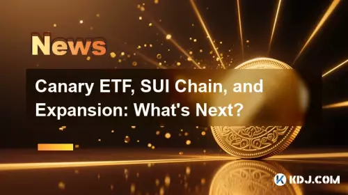 Canary ETF, SUI Chain, and Expansion: What's Next?