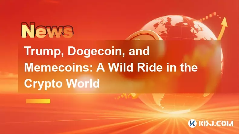 Trump, Dogecoin und Memecoins: Eine wilde Fahrt in der Kryptowelt
