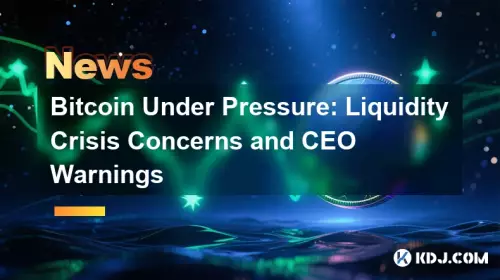 プレッシャーにさらされるビットコイン：流動性危機の懸念とCEOの警告