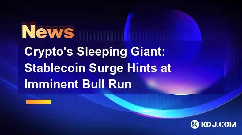Der schlafende Riese der Kryptowährung: Stablecoin-Anstieg deutet auf bevorstehenden Bull Run hin
